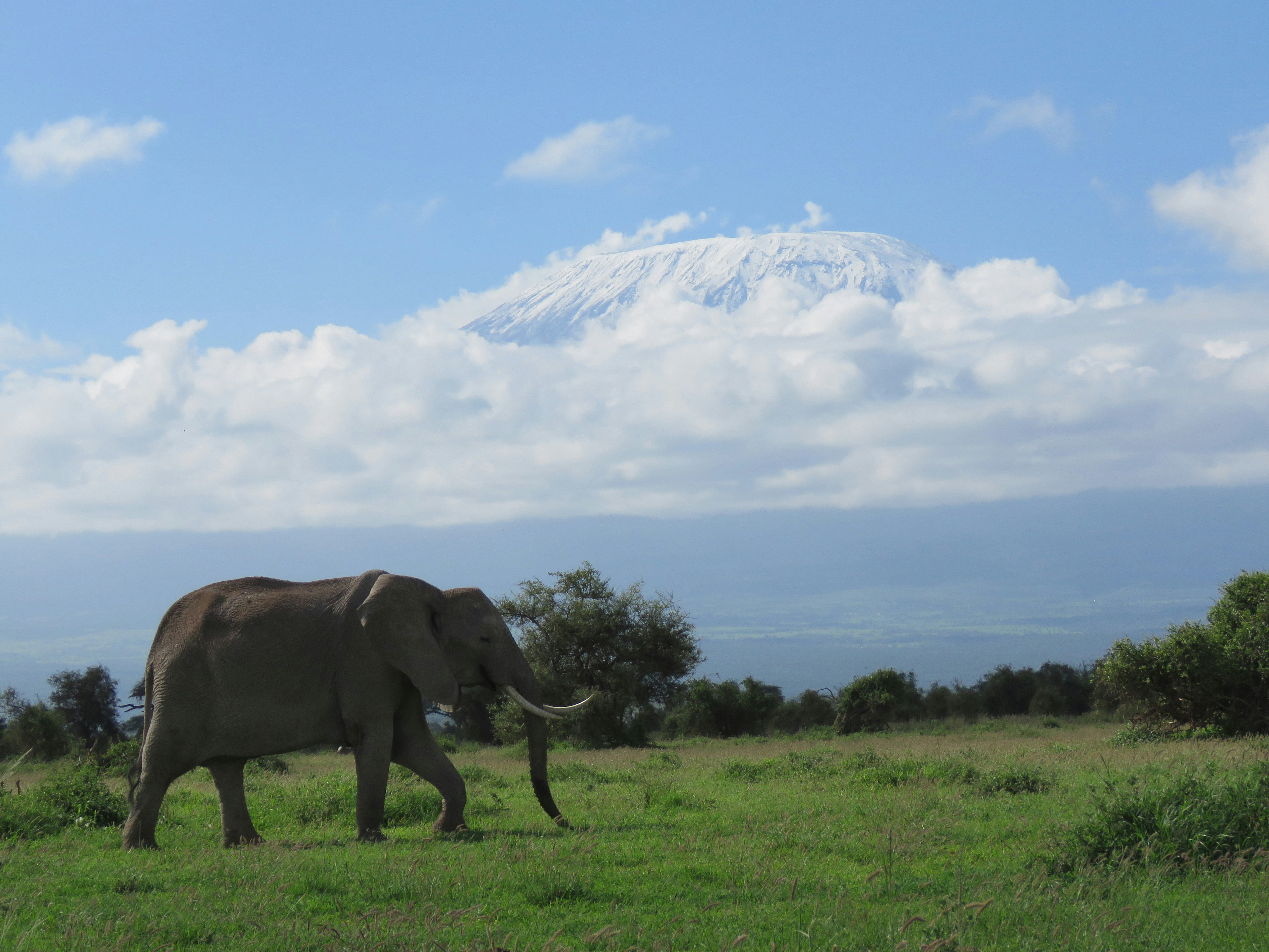 Amboseli National Park