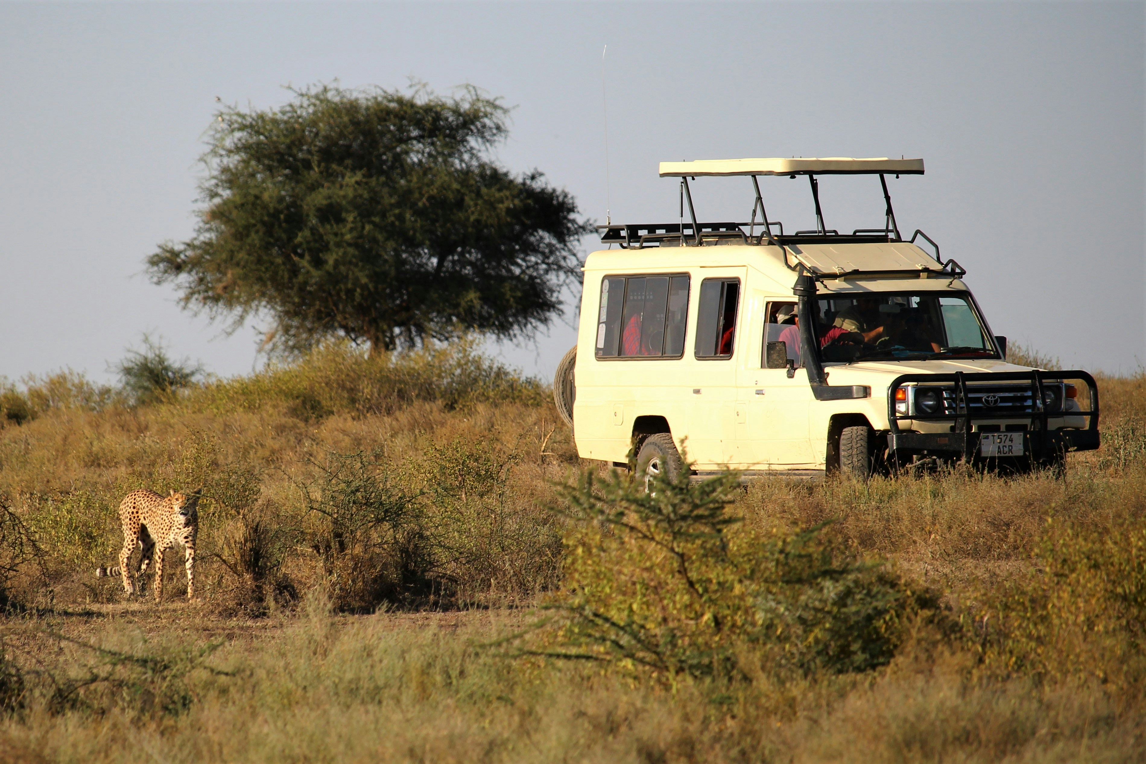 Family Safari Adventure