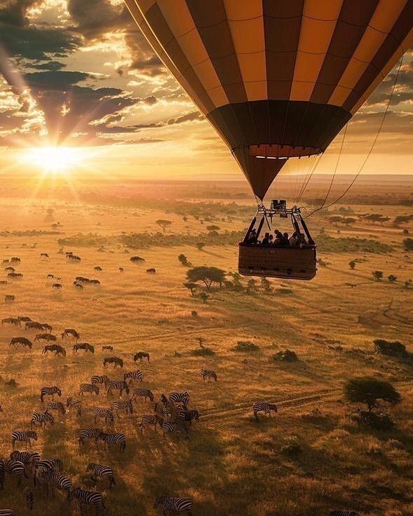 Luxury Safari Experience