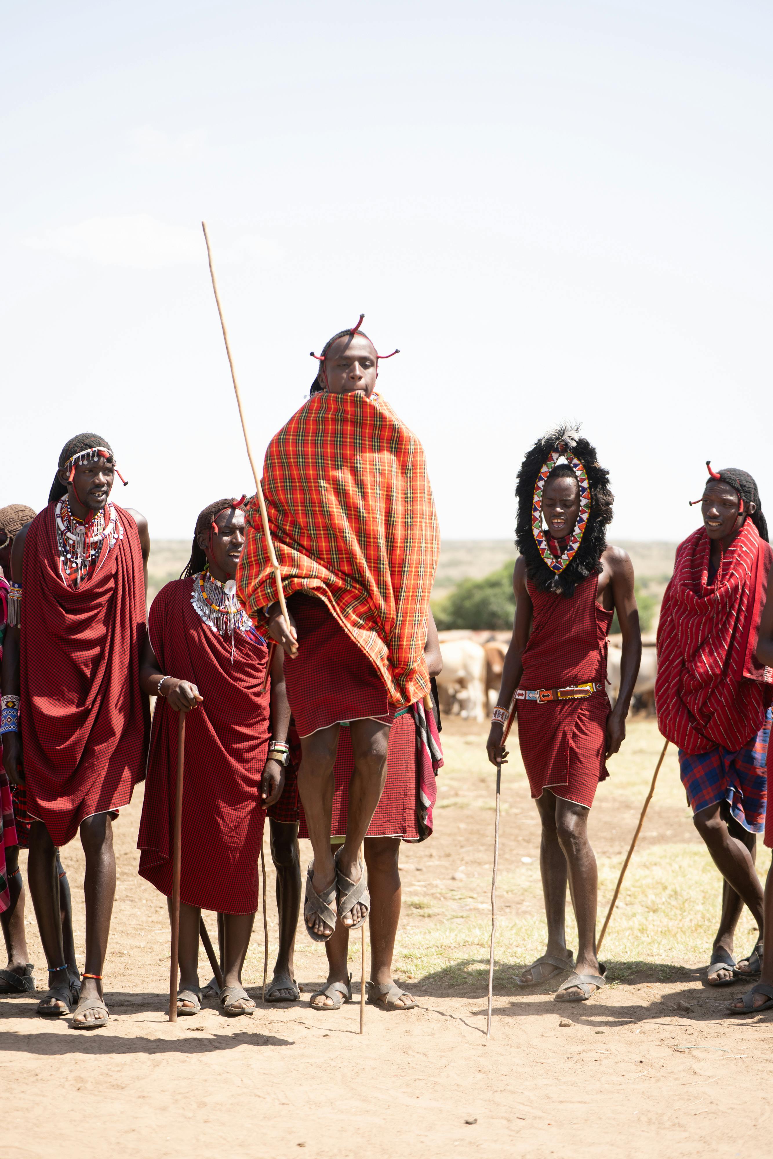 Maasai Culture and Wildlife Safari