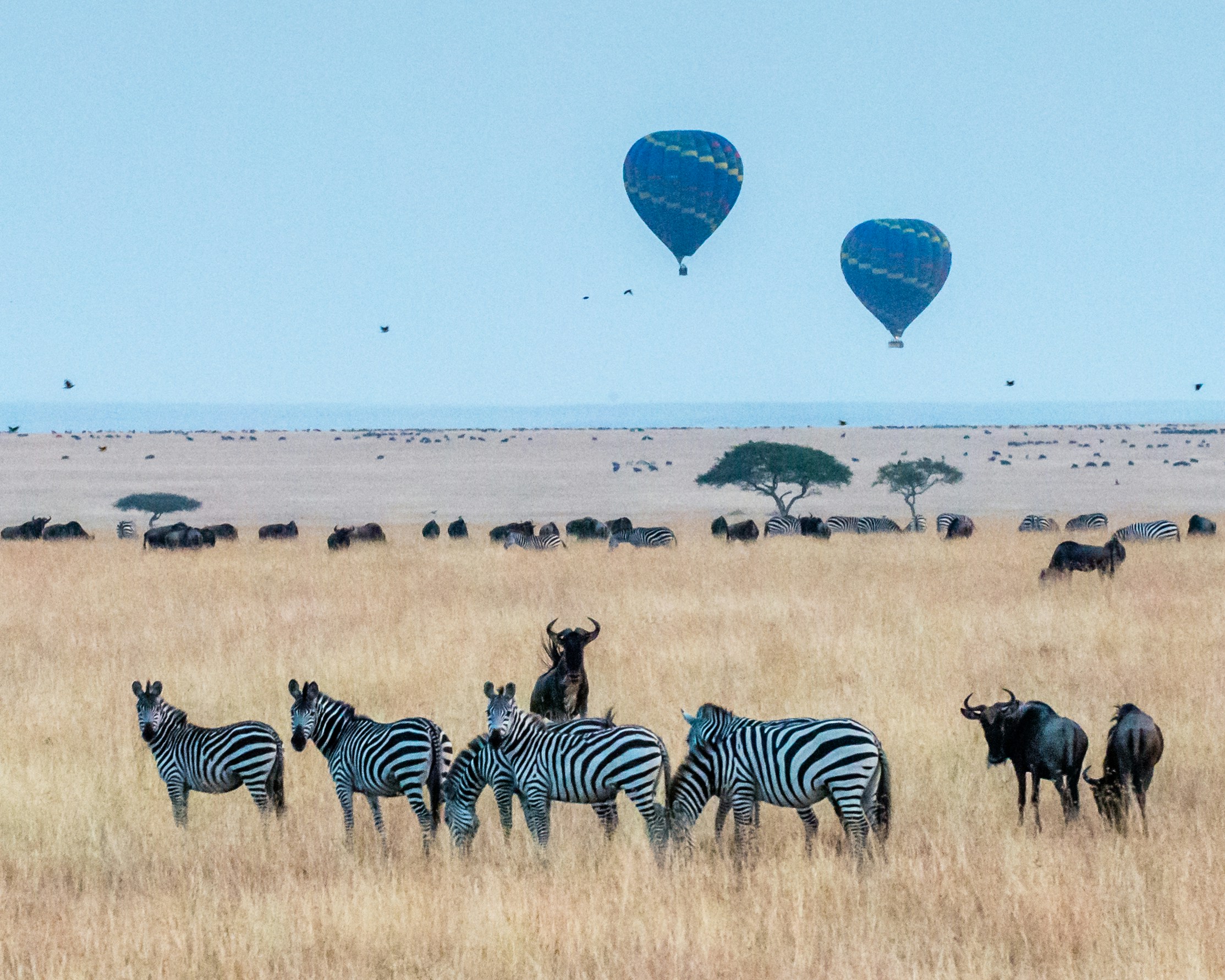 Maasai Mara National Reserve