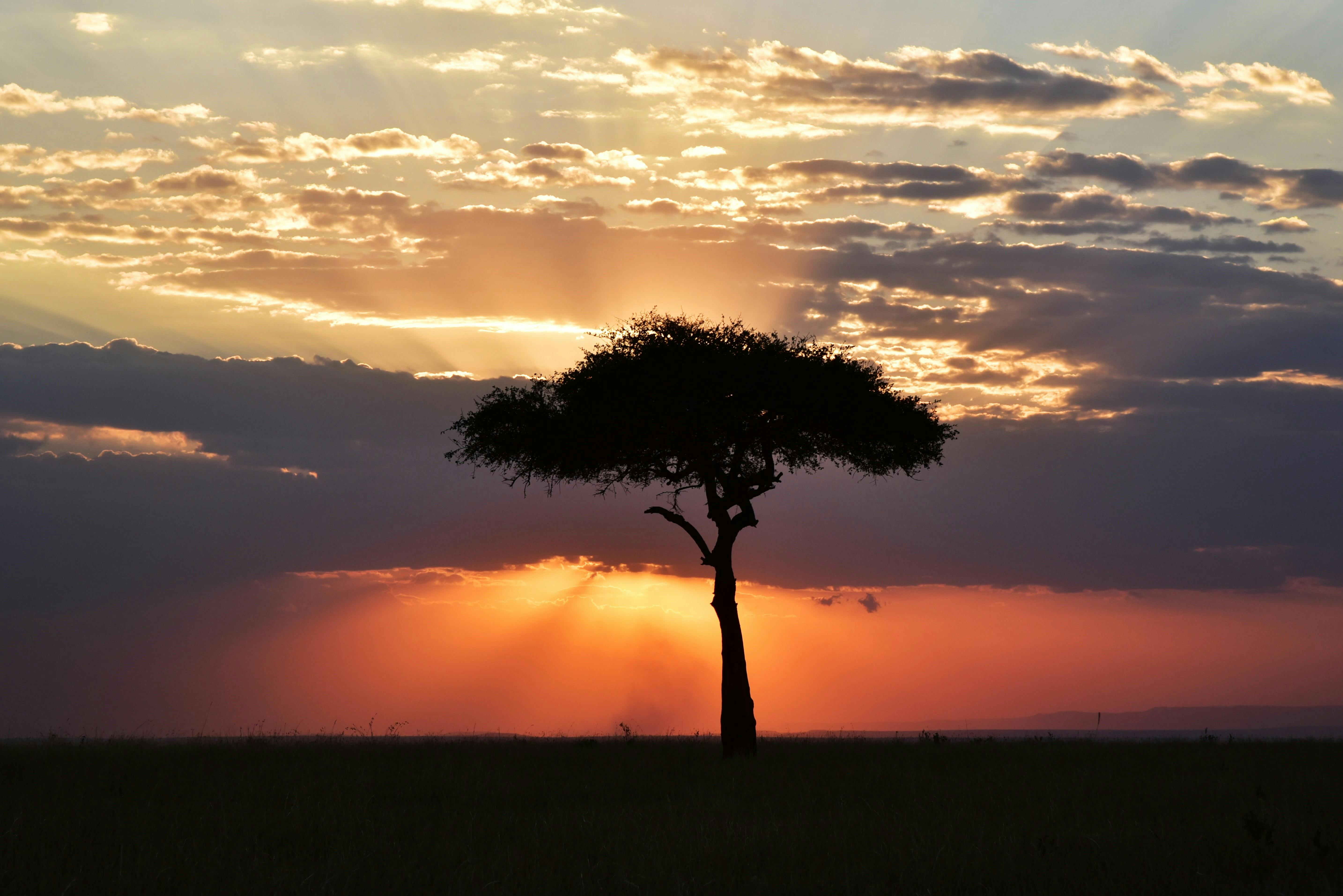Overnight Sunrise Safari